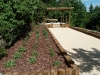 plantes-aromatiques