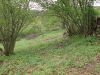 HPIM2004