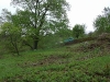 HPIM2006