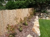 haie-de-photinia-et-brise-vue